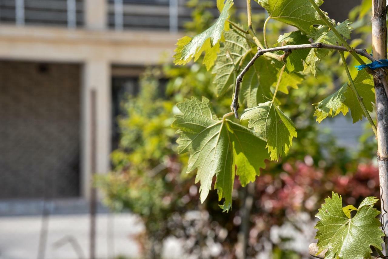 Villa Garden Shkodra Esterno foto