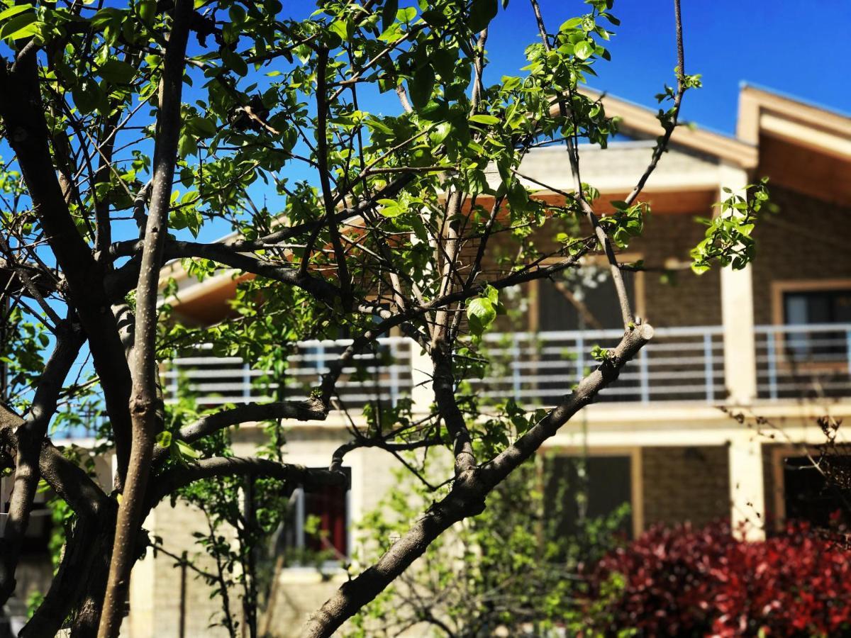 Villa Garden Shkodra Esterno foto